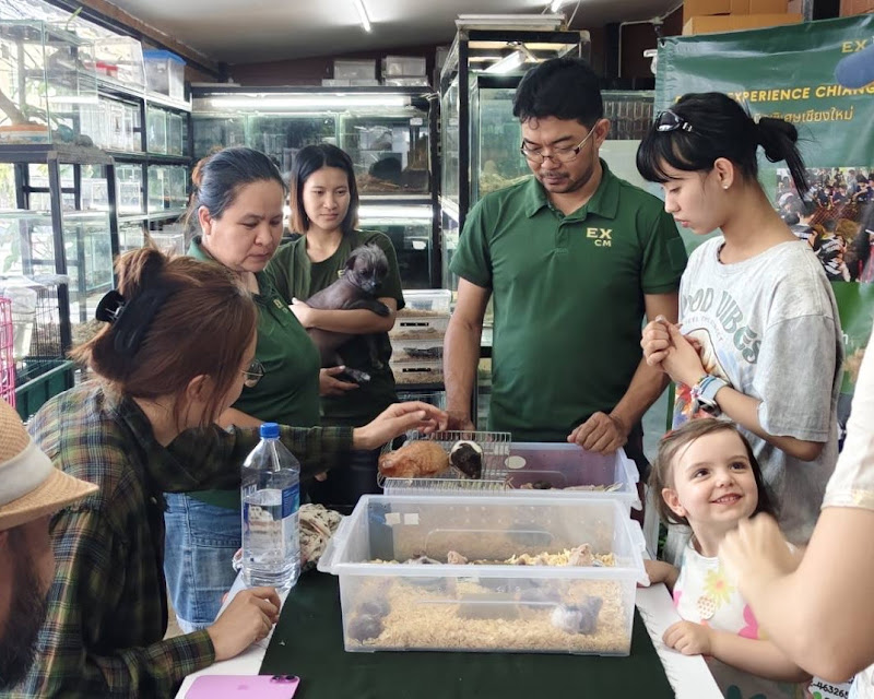 Exotic Experience Chiang Mai